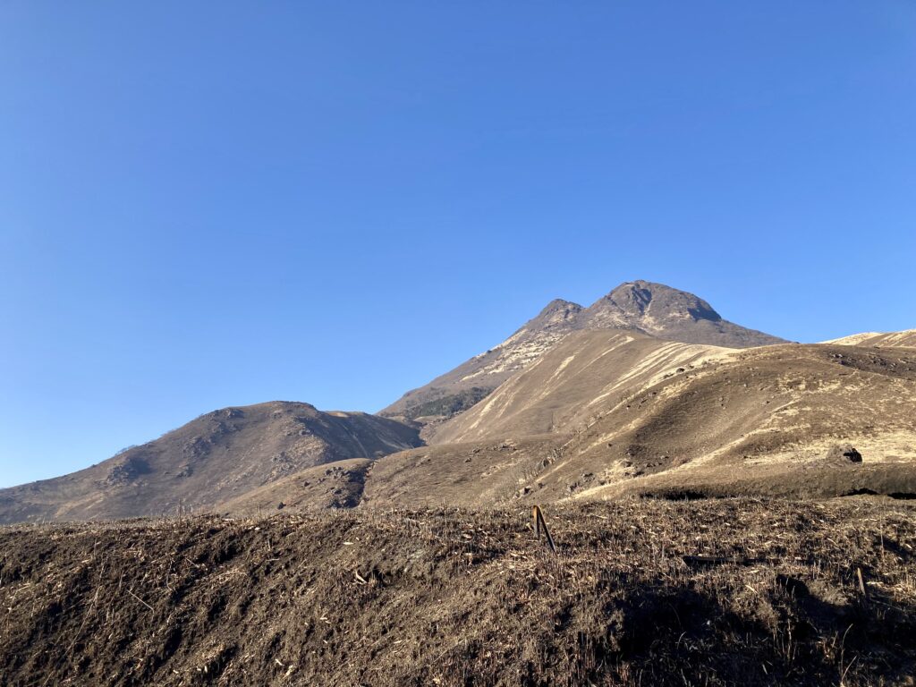 3月の由布岳