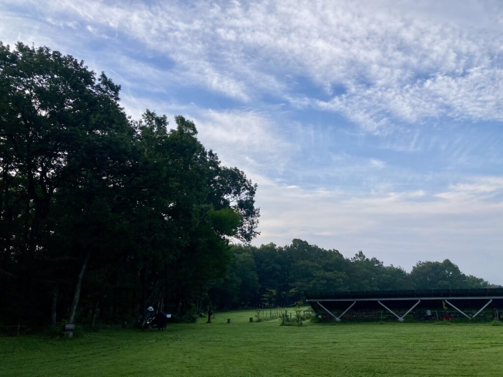 キャンプサイト