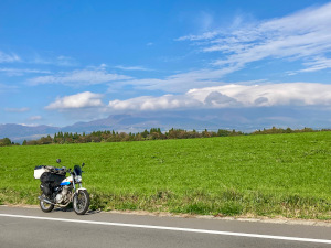 ここに代替テキスト