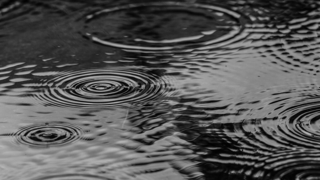 puddle, water, rain, splash, nature, monochrome