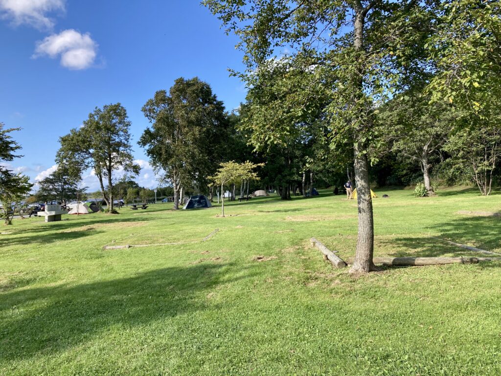 芝キャンプサイト